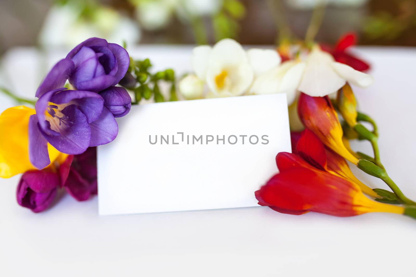 Freesia flowers and blank postcard on white background