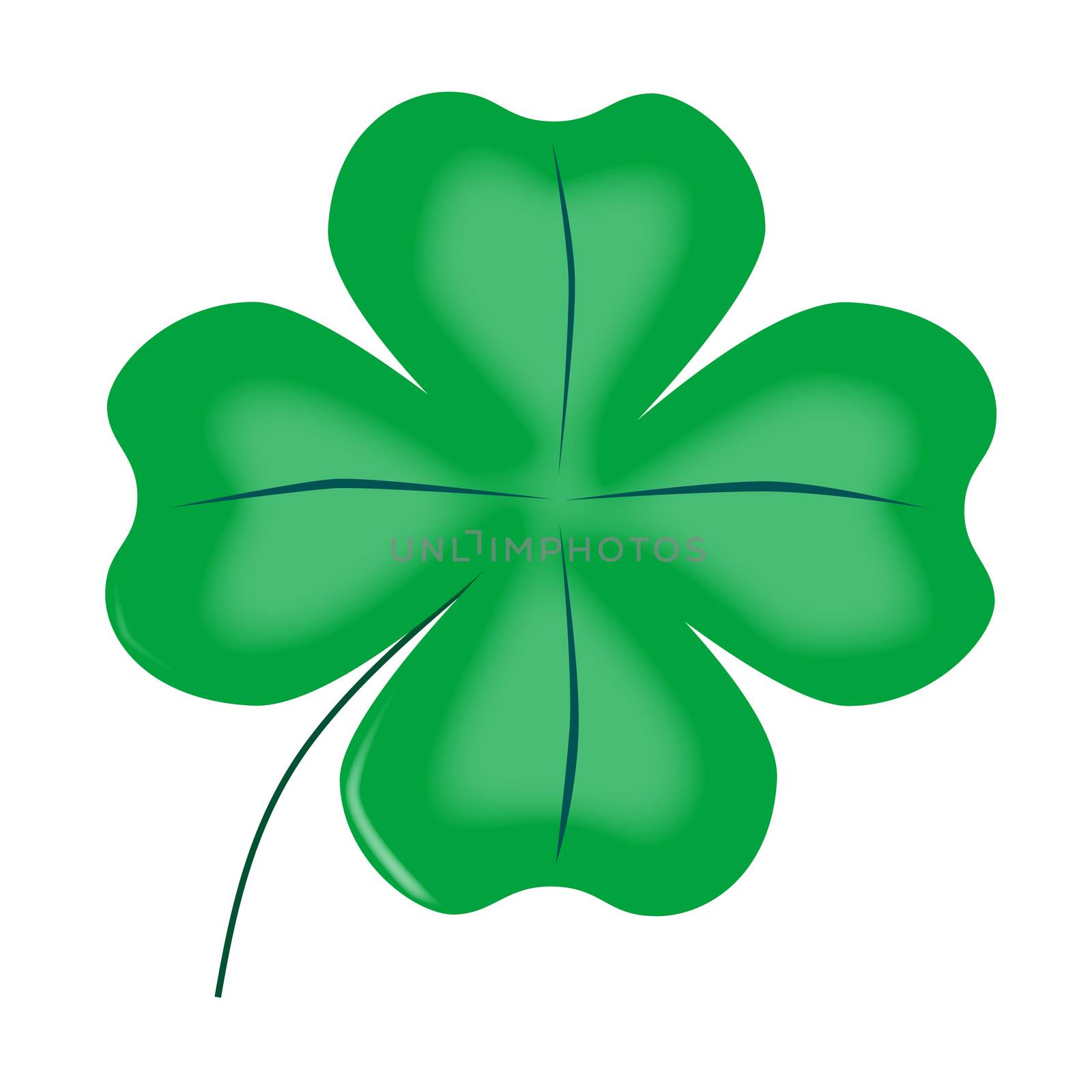A very lucky green Irish 4 leaf shamrock over white.
