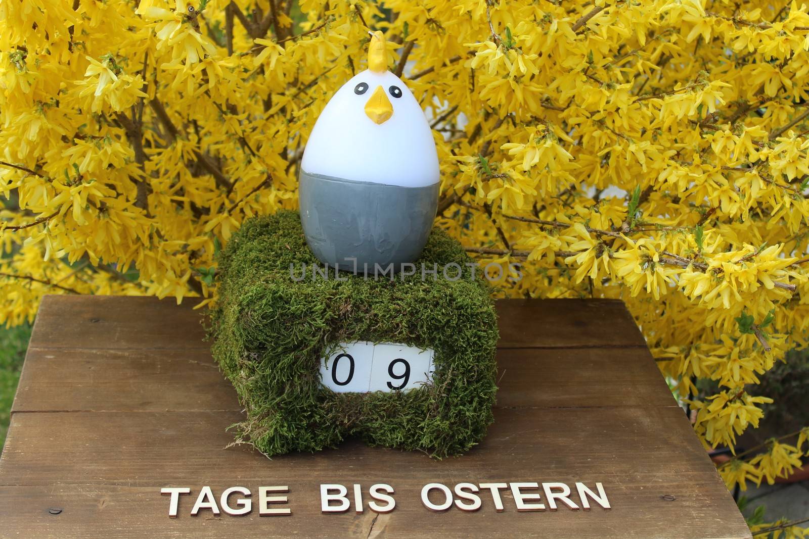 The picture shows an easter countdown with the german text days until easter