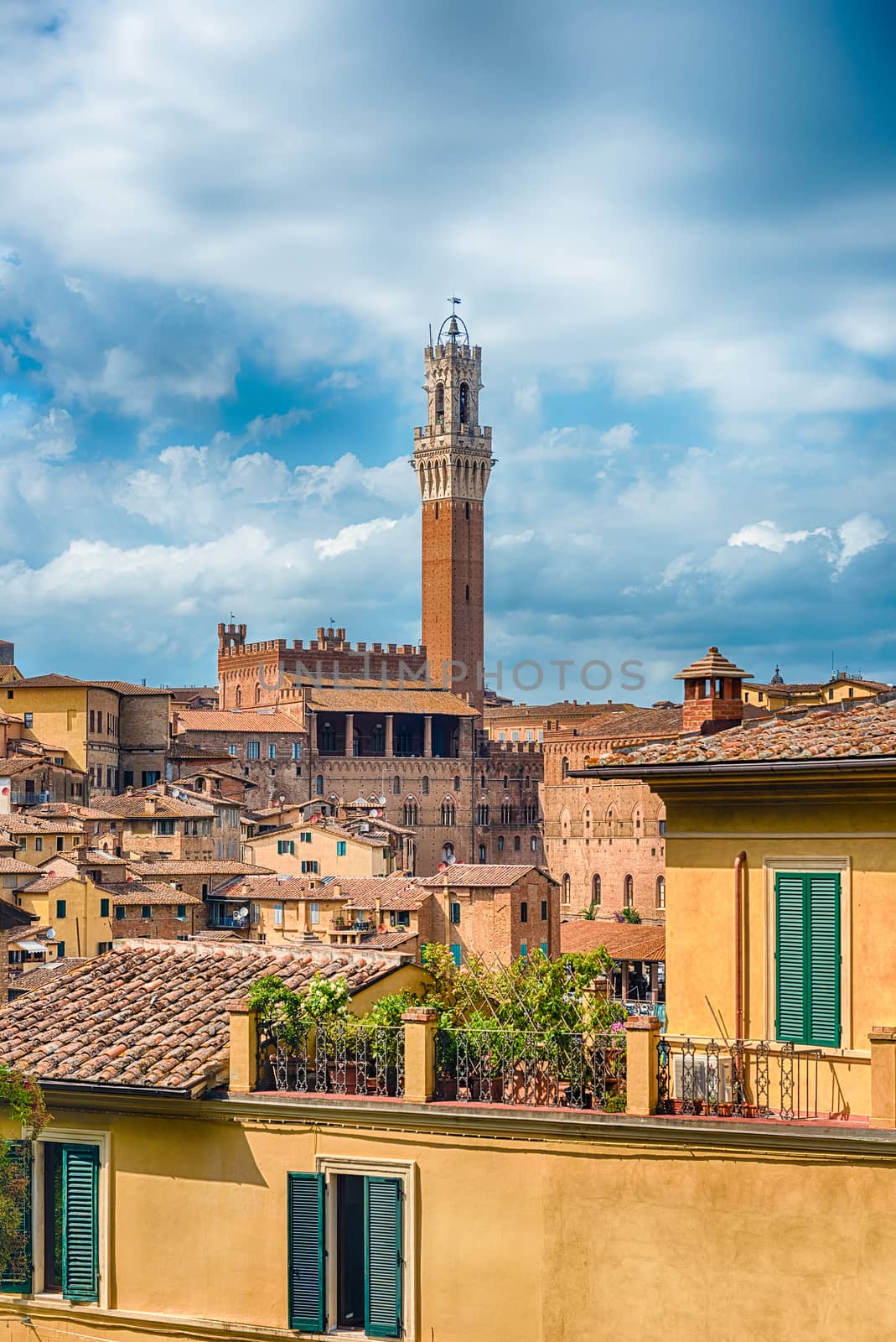 View over the picturesque city centre of Siena, Italy by marcorubino