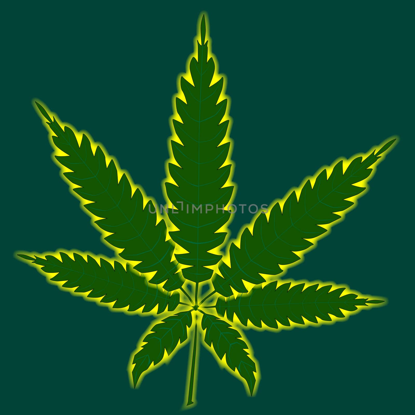 A cannabis leaf isolated over a green background.