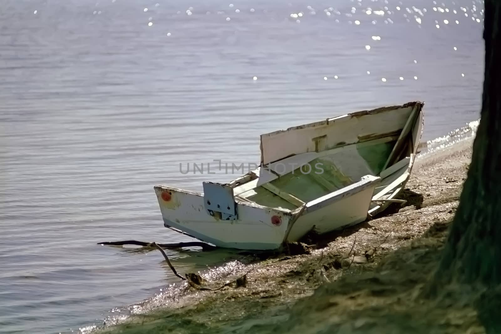 A smashed small boat washed up on the lake shore