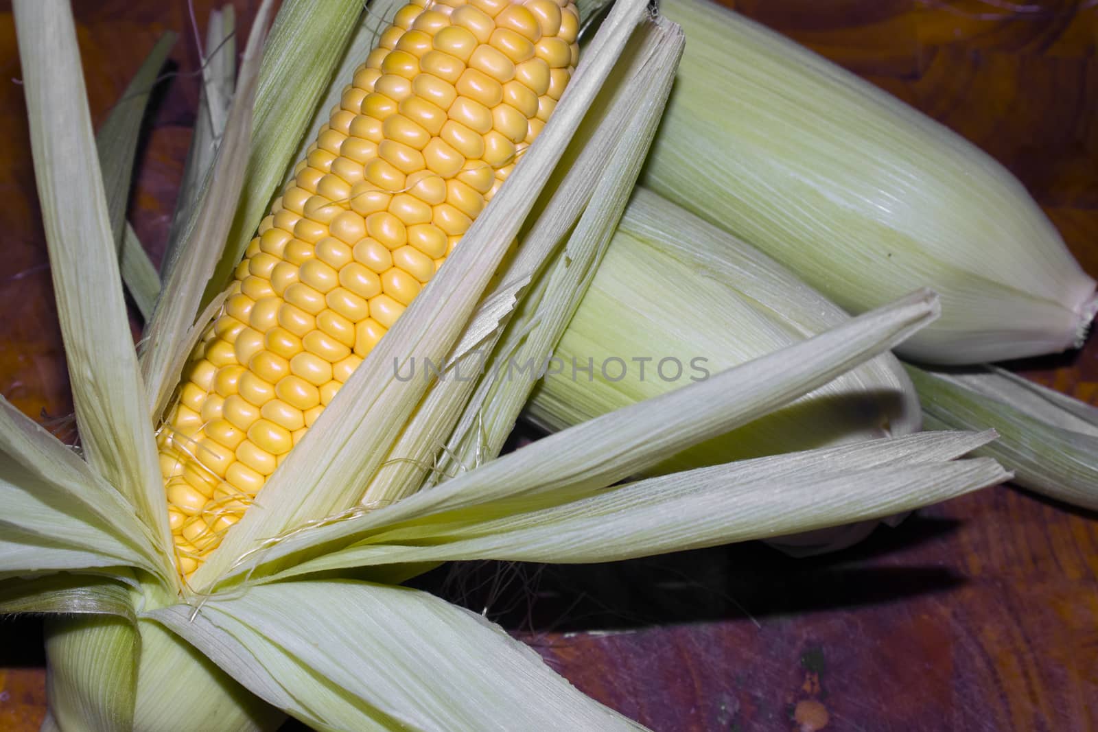 Freshly picked corn or maize partly peeled by definitearts