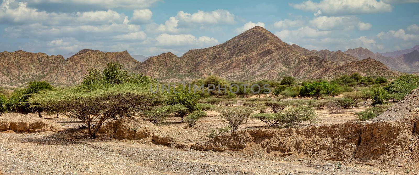 Beautiful highland landscape with valley. Afar region near city Mekelle. Ethiopia, Africa wilderness