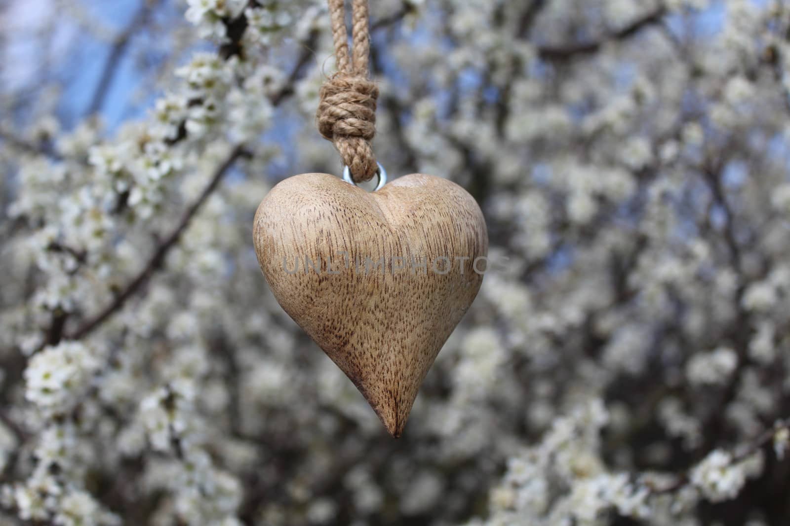 The picture shows a wooden heart in a blossoming bush