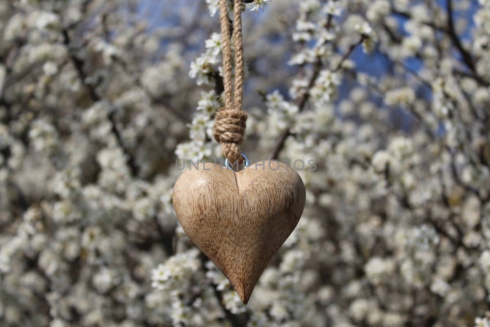 The picture shows a wooden heart in a blossoming bush