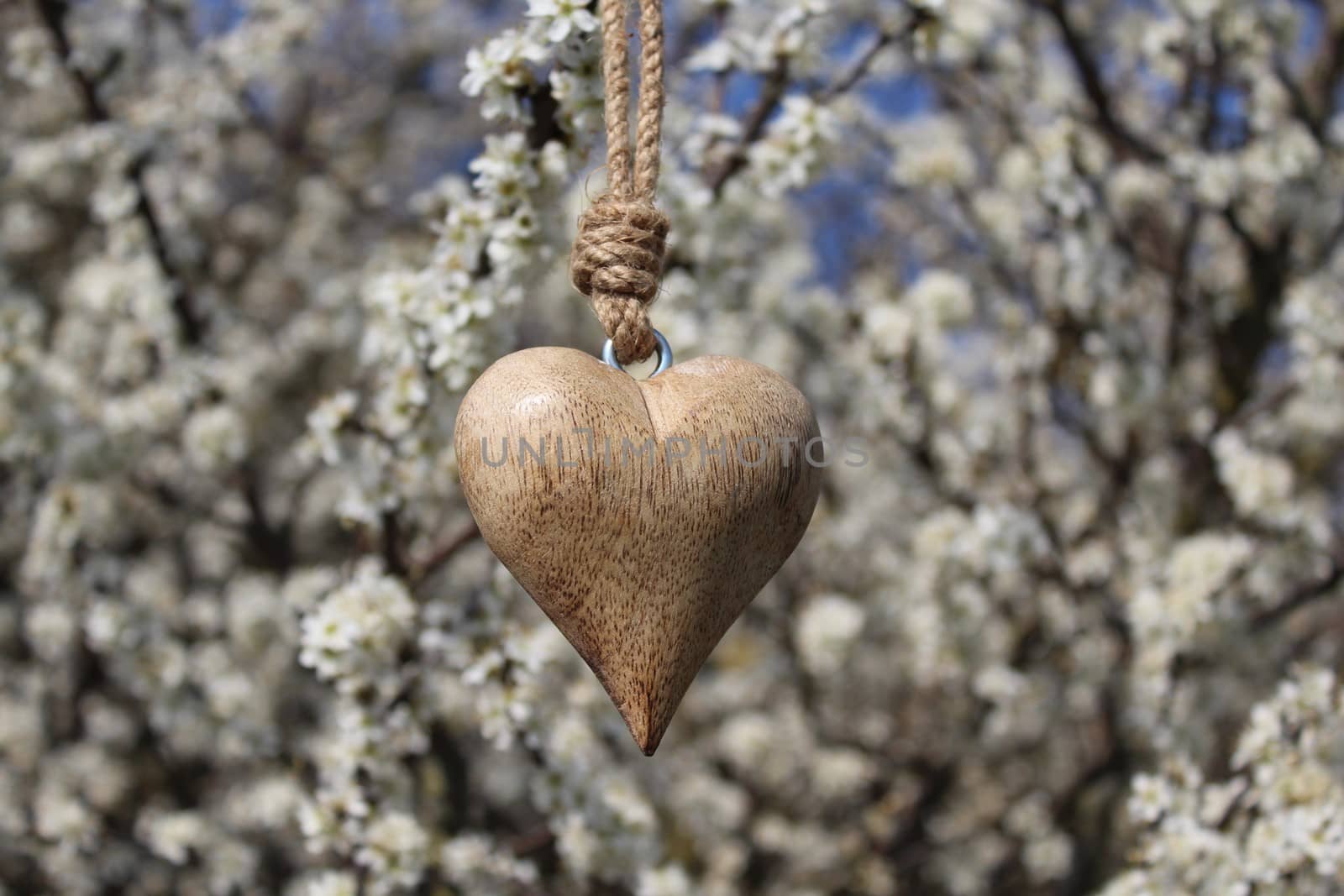 wooden heart in a blossoming bush by martina_unbehauen