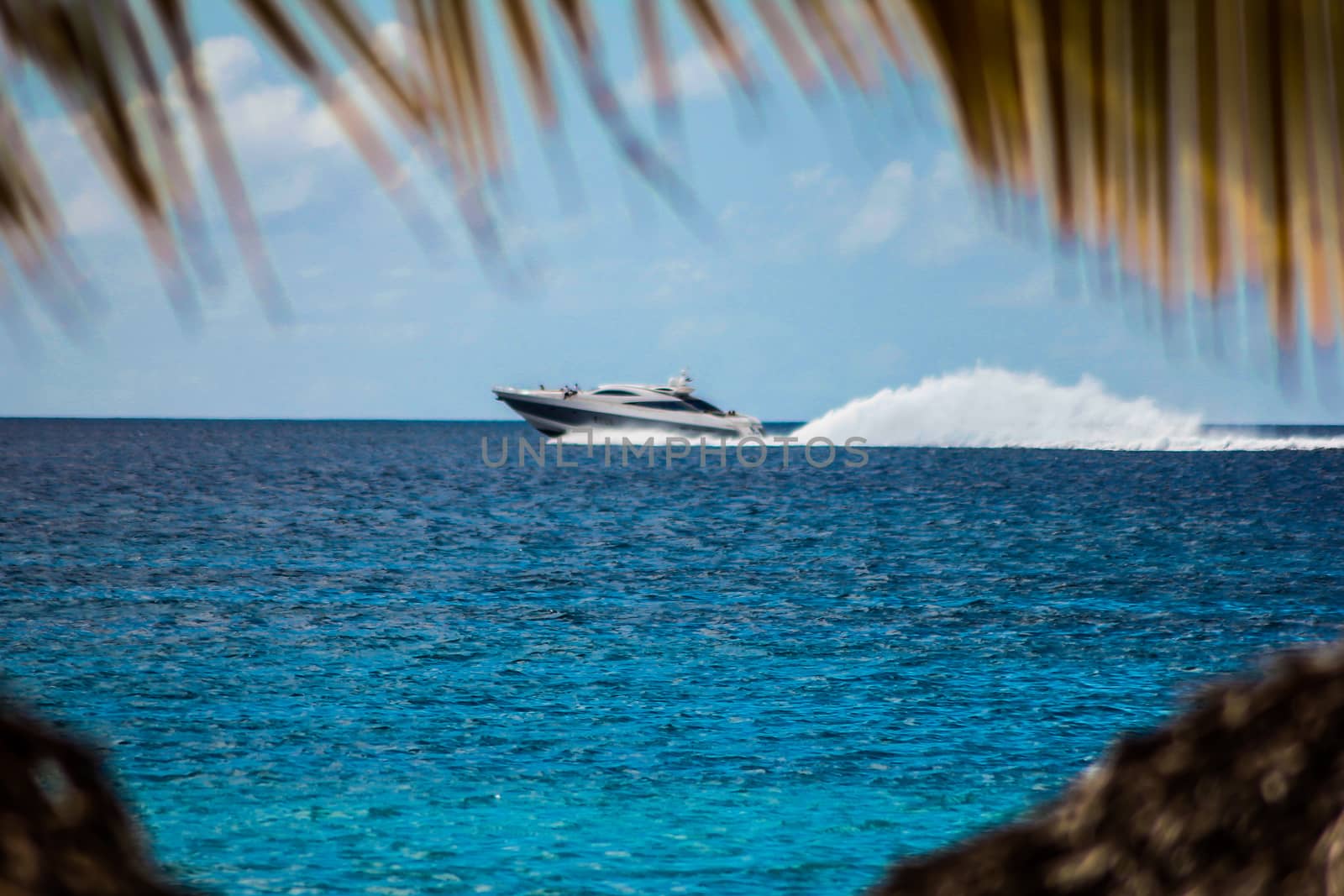 Motorboat speeds over the sea in the Dominicus coast 2 by pippocarlot