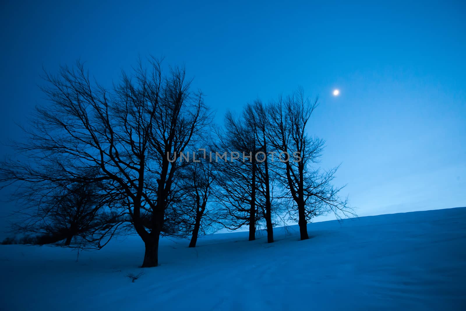 Fairy winter night landscape with snow and moon in a mountain hill