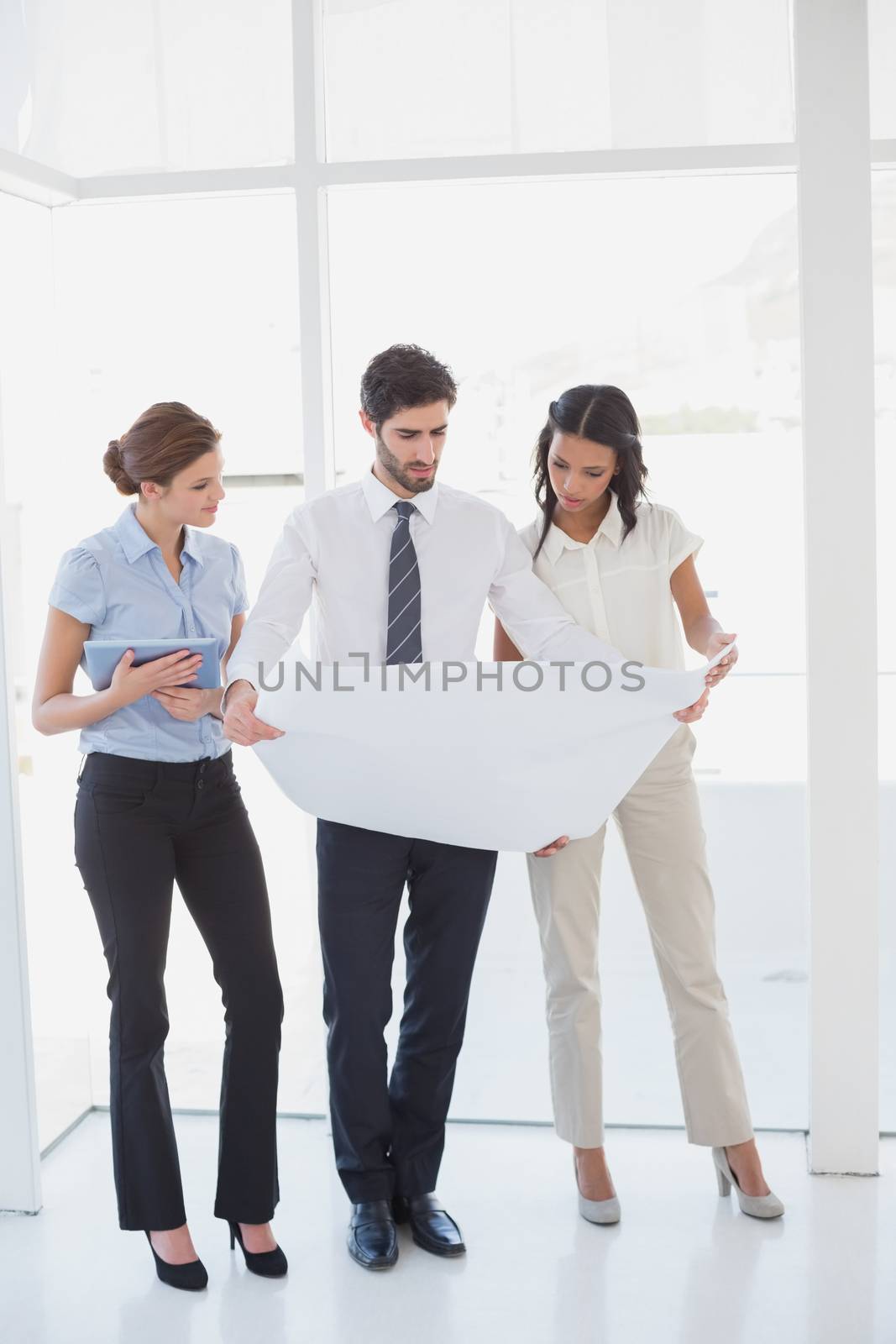 Business team reading a plan in an office