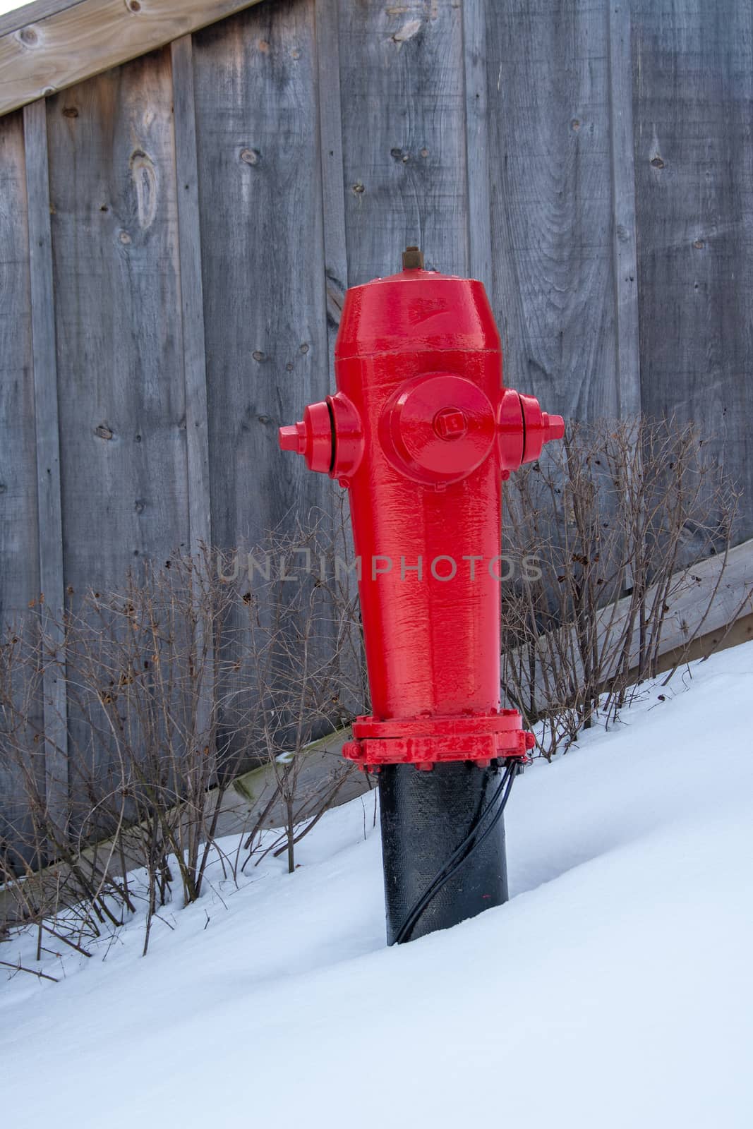Fire hydrant near a wooden fence by ben44