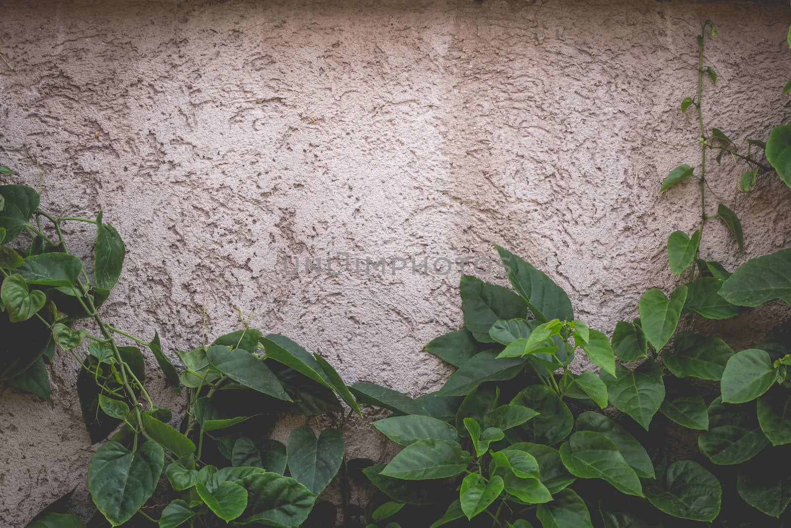 Concrete floor with leaves around  by photosam