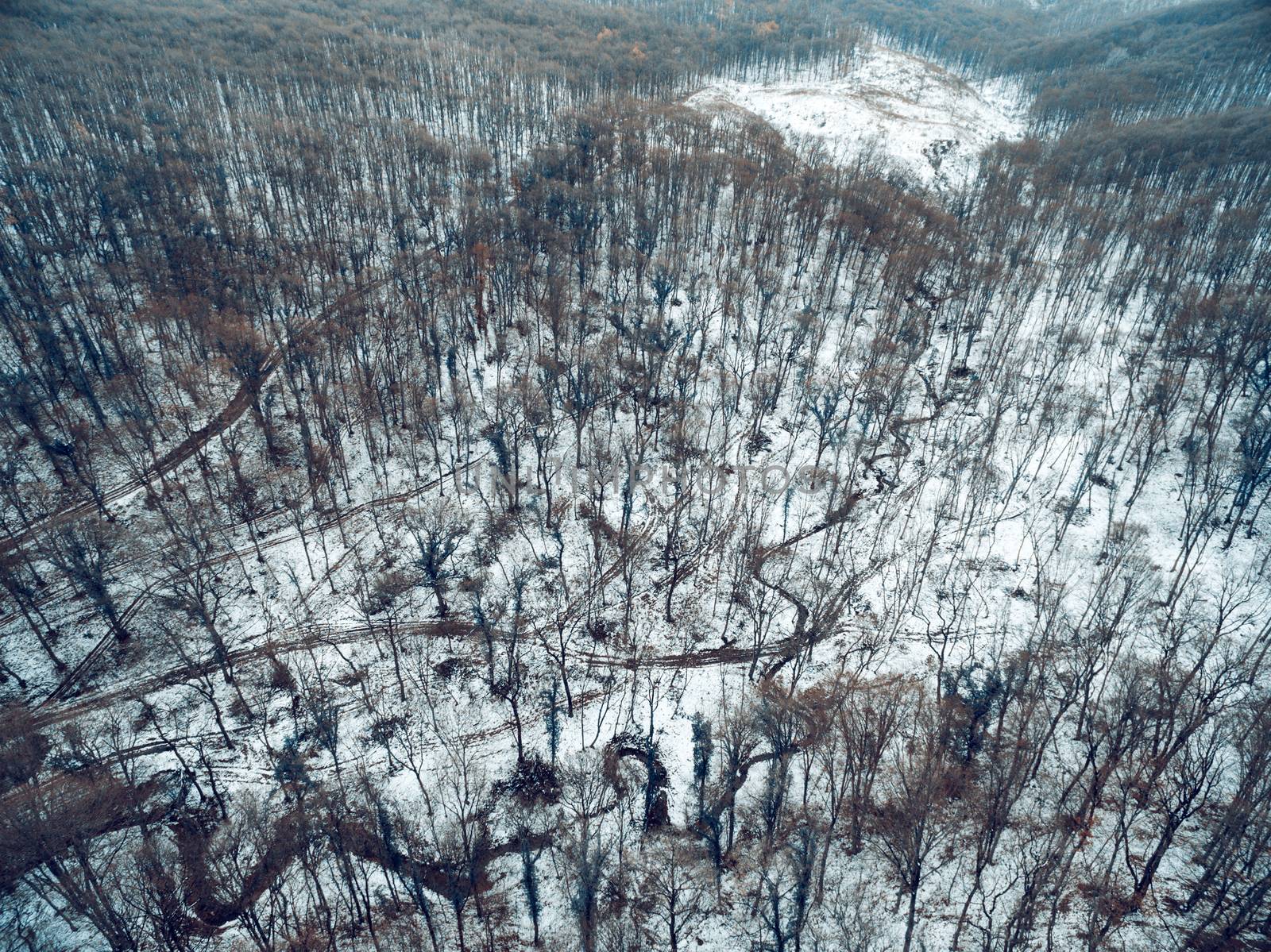 Forest In Winter From Above by MilanMarkovic78