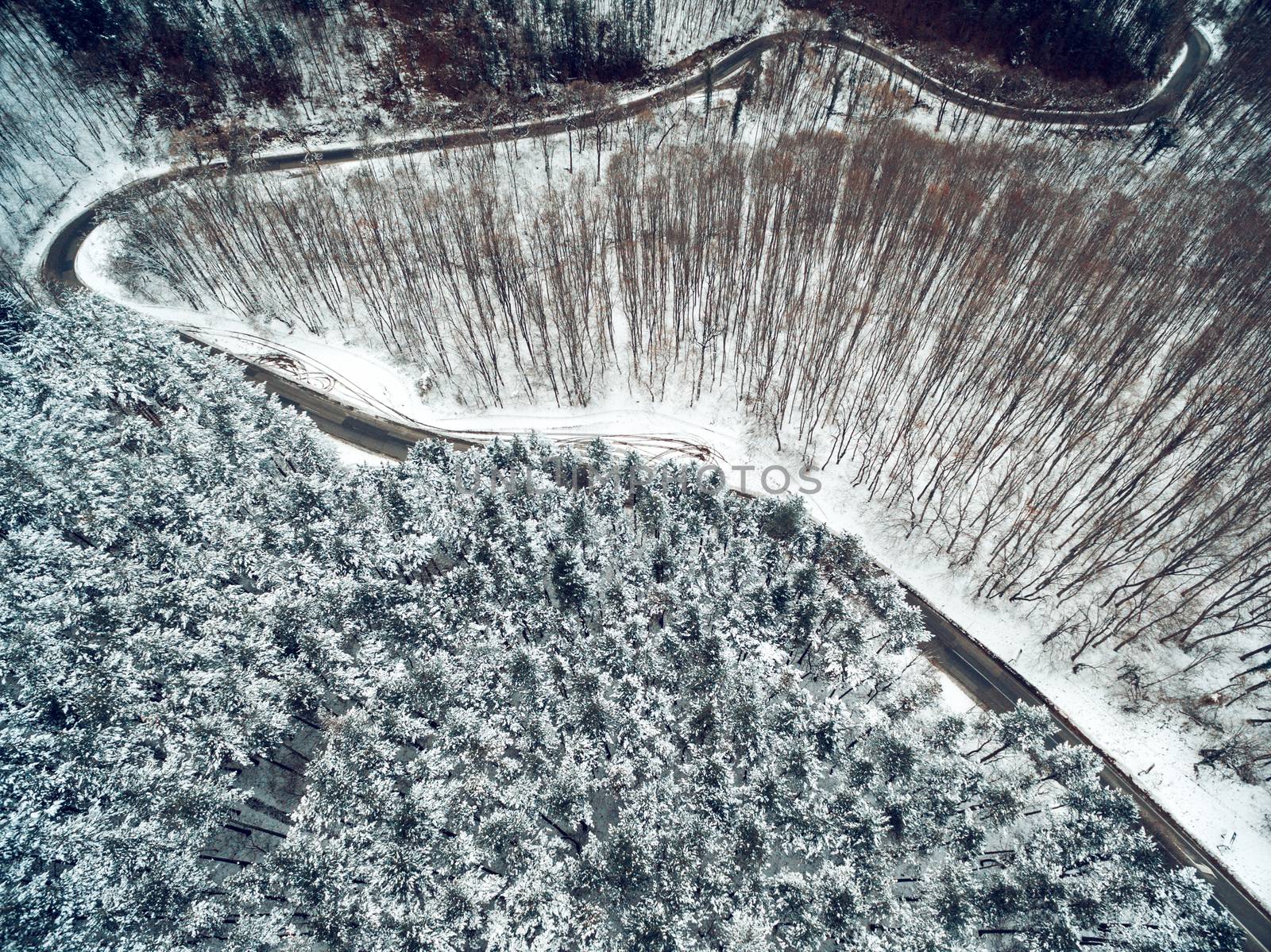 Drone aerial top view of a road in the mountains surrounded by a snow forest at the wild park.