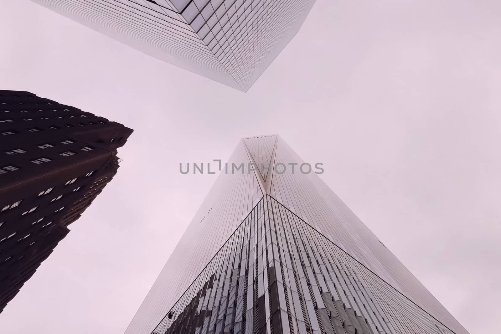 Look up at the skyscrapers of New York. High-rise construction.