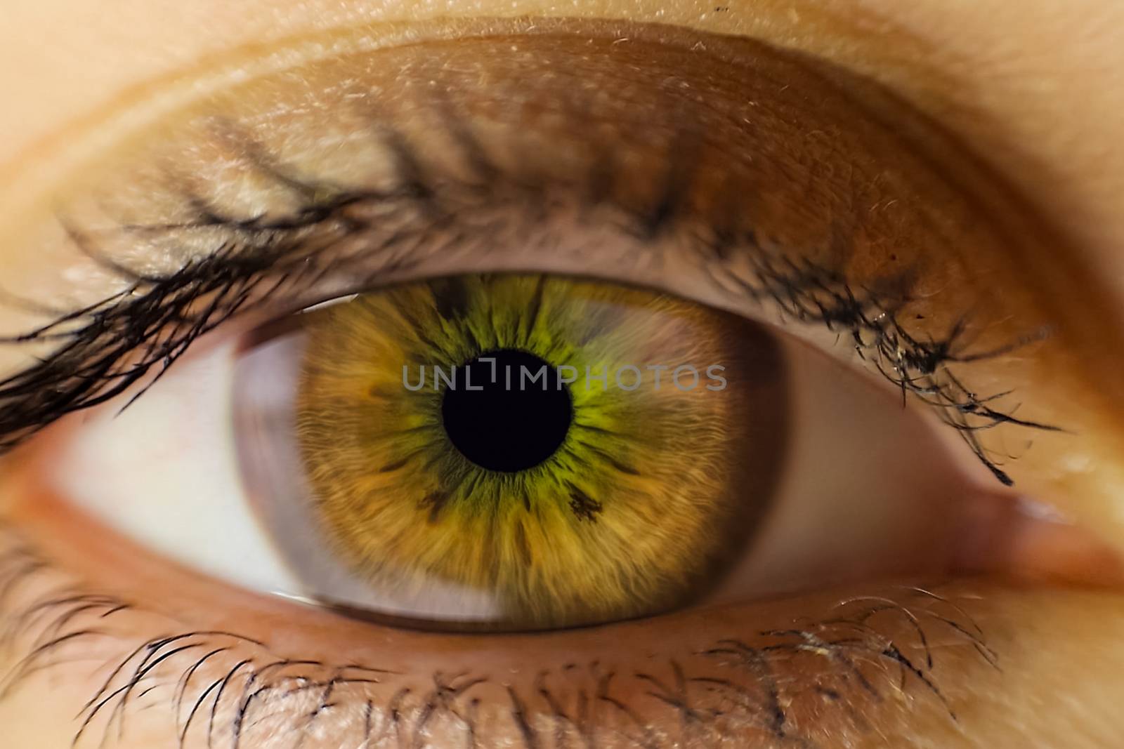 The human female eye is light brown. Eye close
