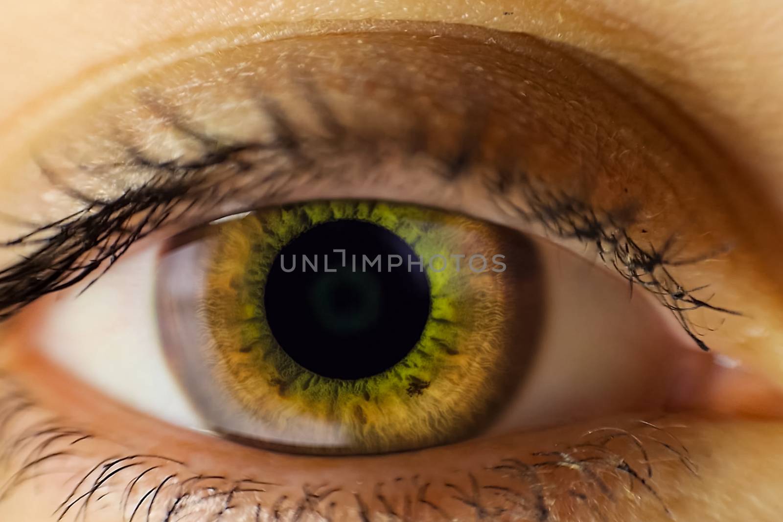 The human female eye is light brown. Eye close. by nyrok