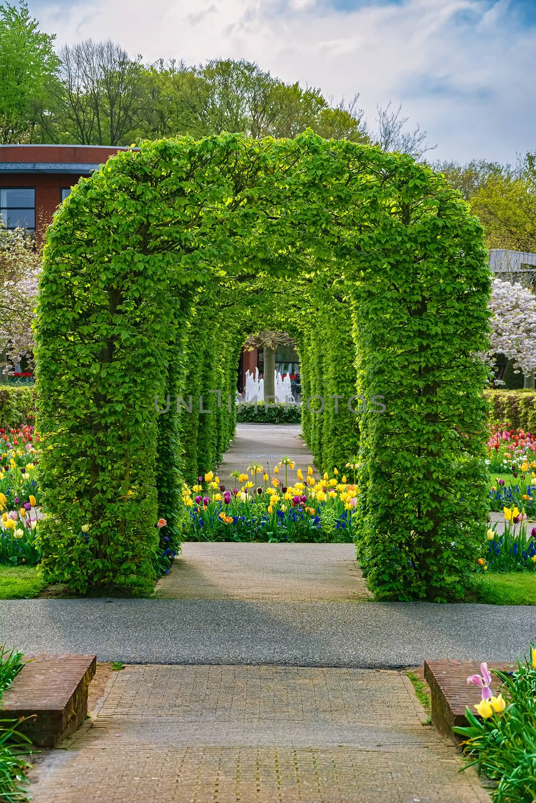 Spring in the park. Lisse, the Netherlands.