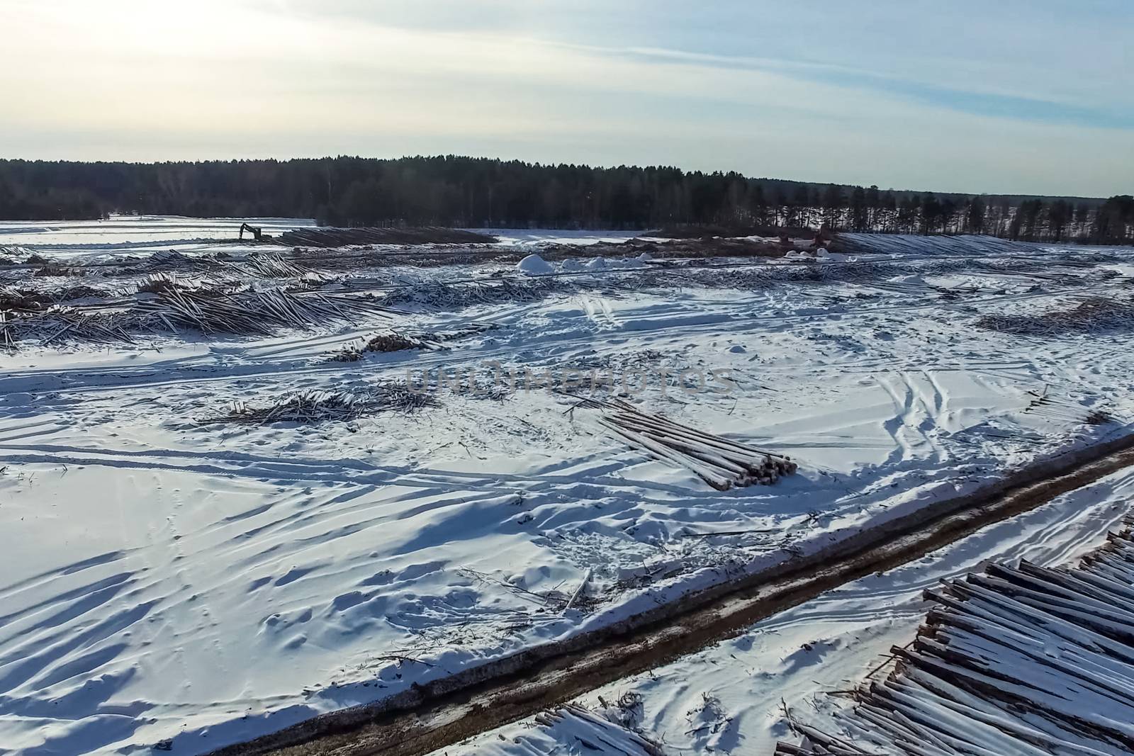 The felled trees lie under the open sky. Deforestation in Russia. Destruction of forests in Siberia. Harvesting of wood.