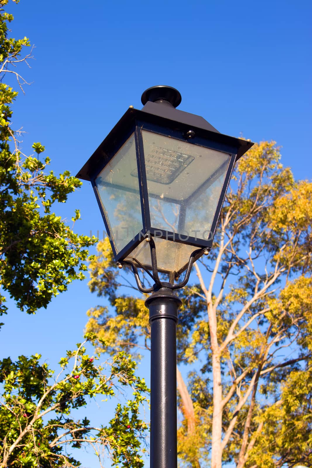 Vertical shot of street light against sky and trees in background