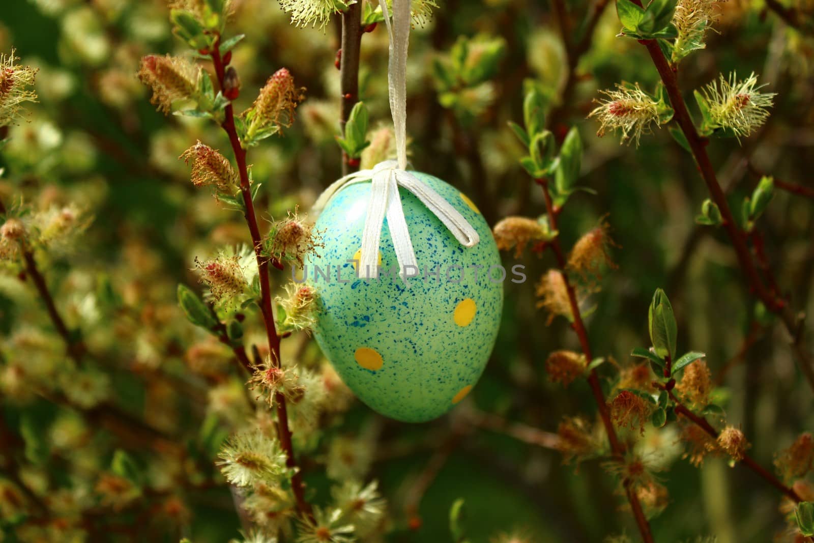 Happy easter greetings with a easteregg in the catkins