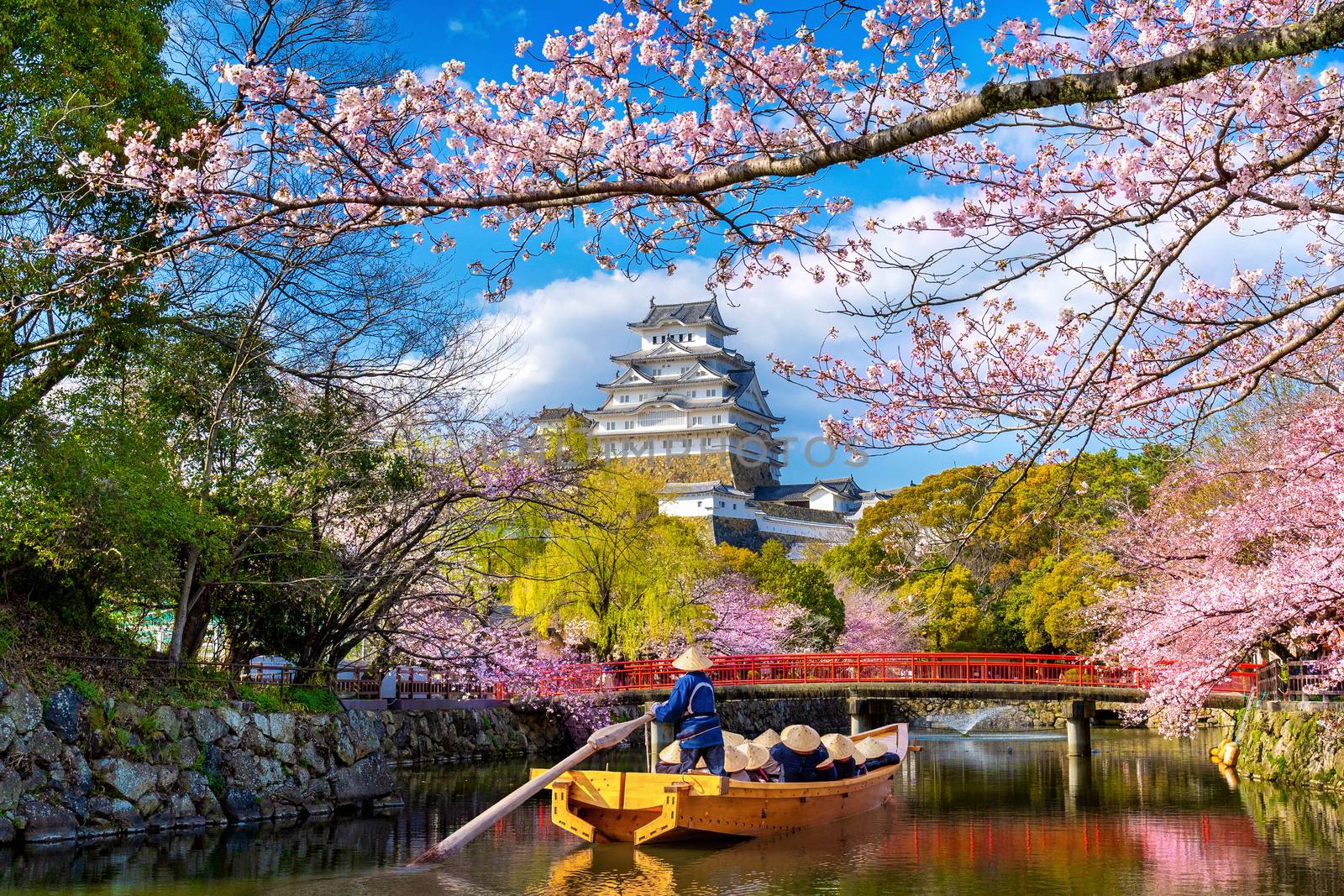Cherry blossoms and castle in Himeji, Japan. by gutarphotoghaphy