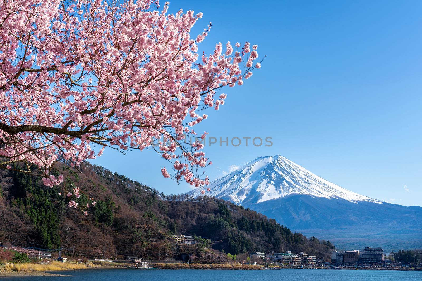 Fuji mountain and cherry blossoms in spring, Japan. by gutarphotoghaphy