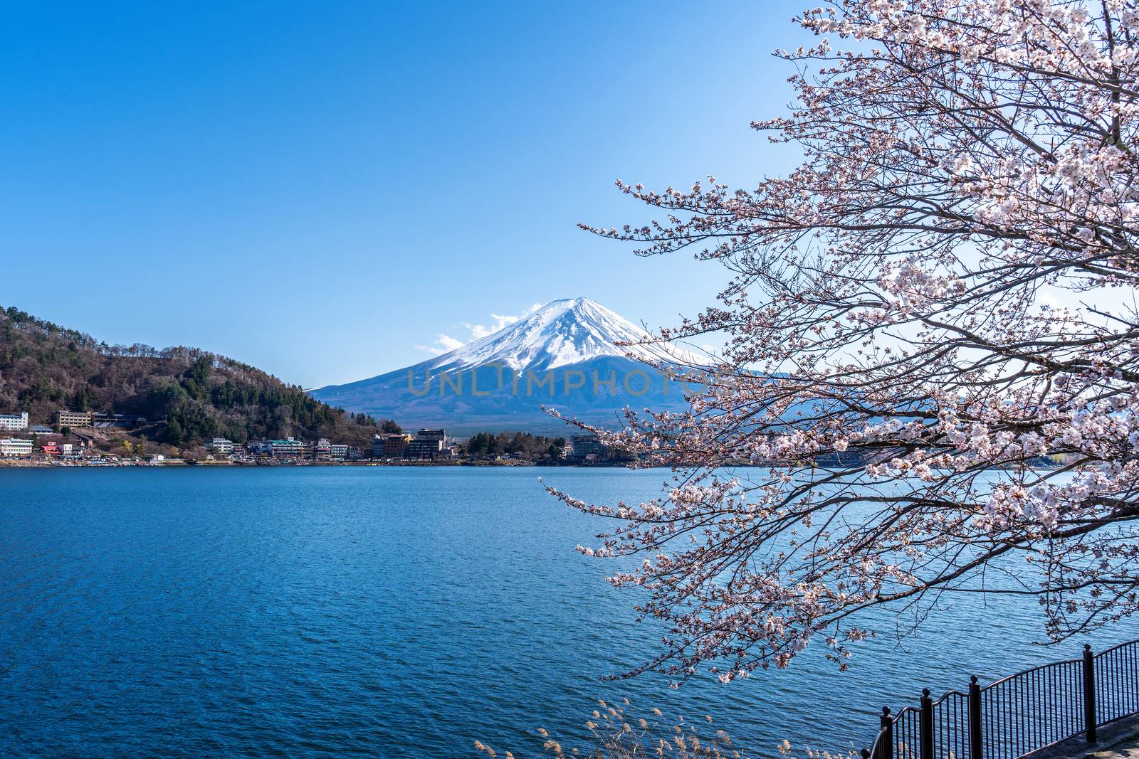 Fuji mountain and cherry blossoms in spring, Japan.