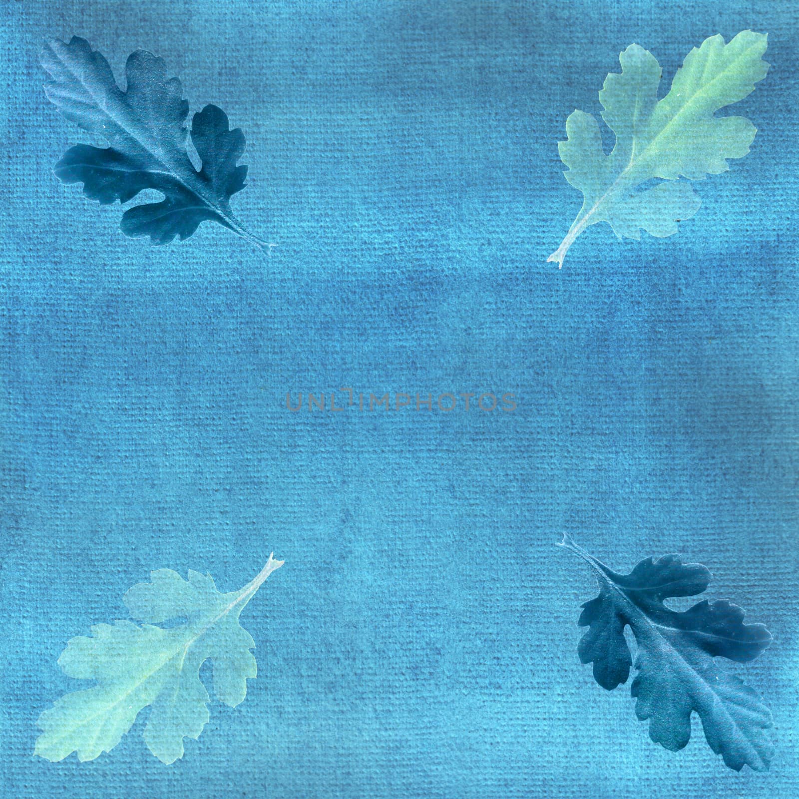 Oak leaves on blue watercolor background. by Rina_Dozornaya