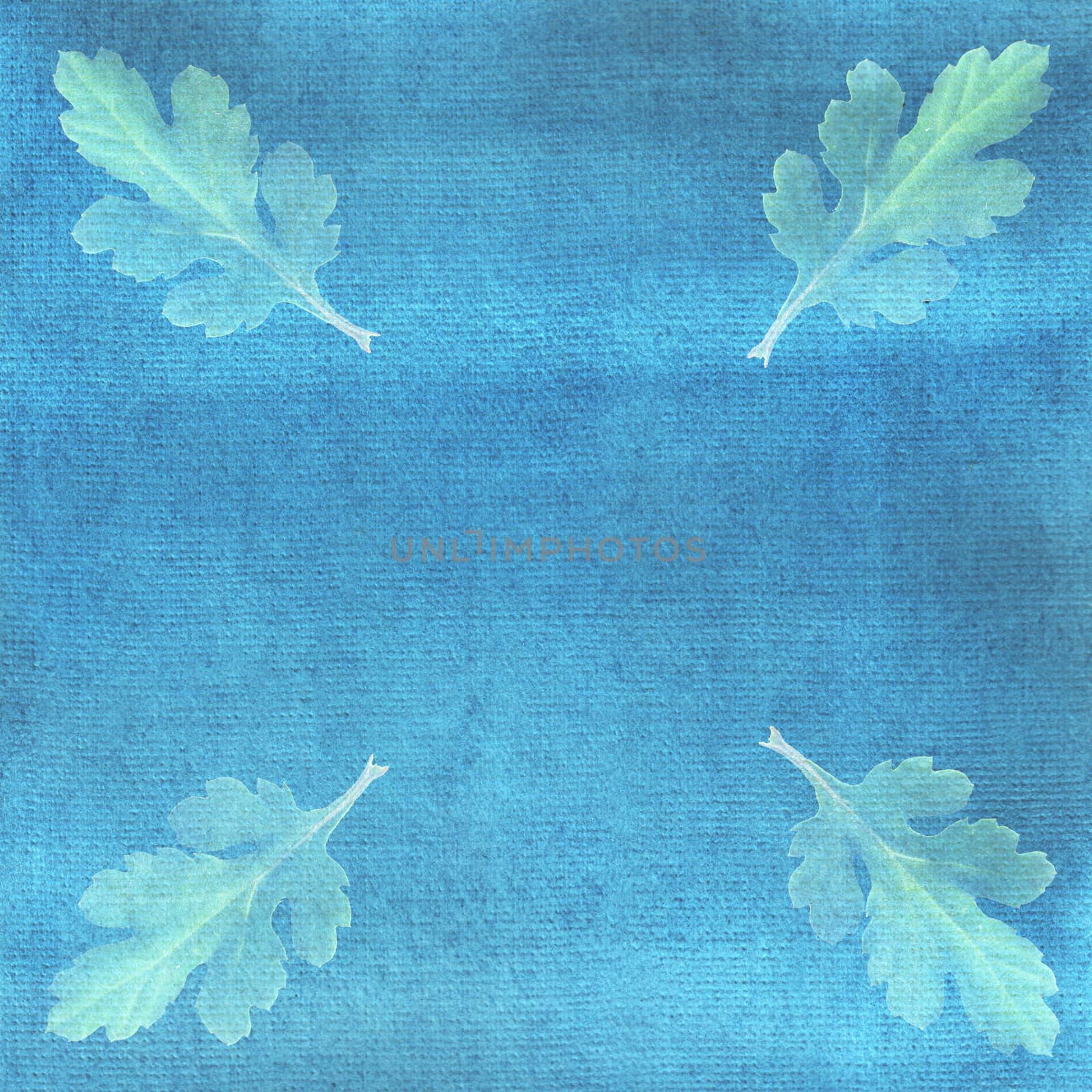 Light green chrysanthemum leaves on blue watercolor background. by Rina_Dozornaya