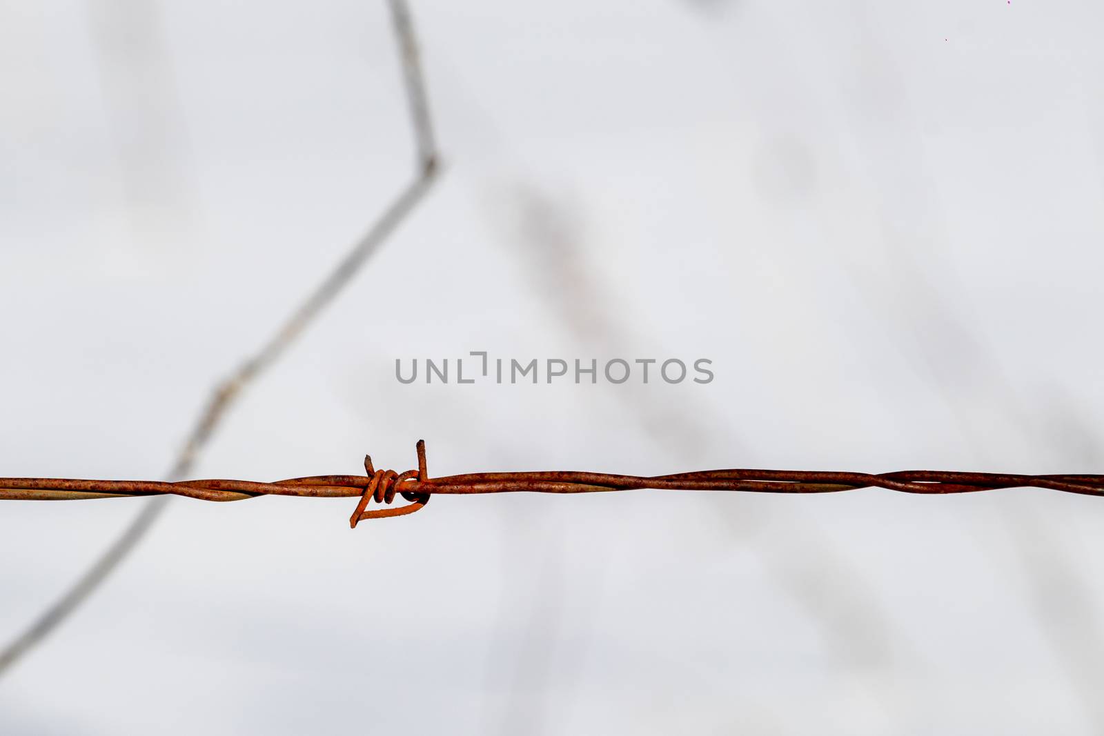 Single Rusty Barbed Wire Double Barb by colintemple