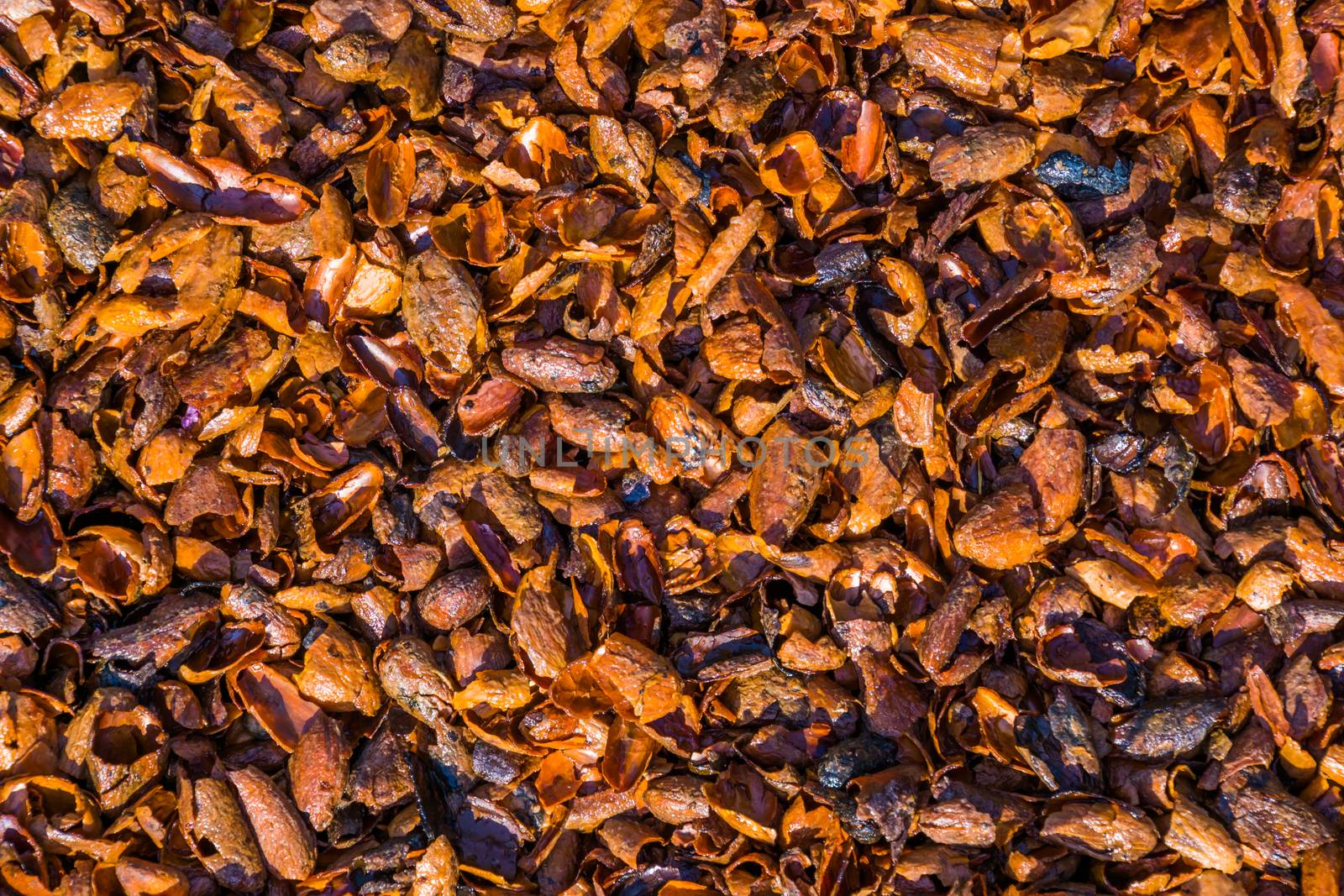 pattern of cacao shells in closeup, popular aromatic garden ground covering and mulch by charlottebleijenberg