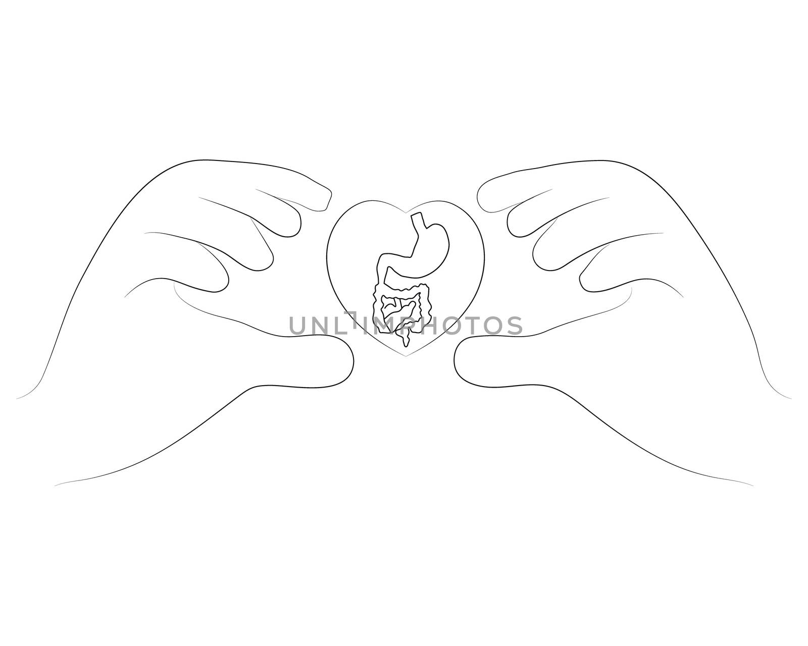 Hands holding guts in outline style illustration for probiotics health benefits. Vector illustration isolated on white background.