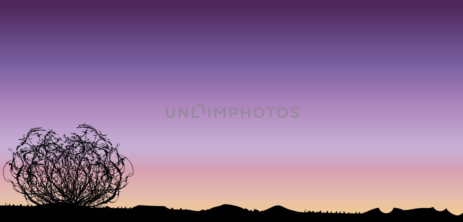 Tumbleweed Sunset by Bigalbaloo
