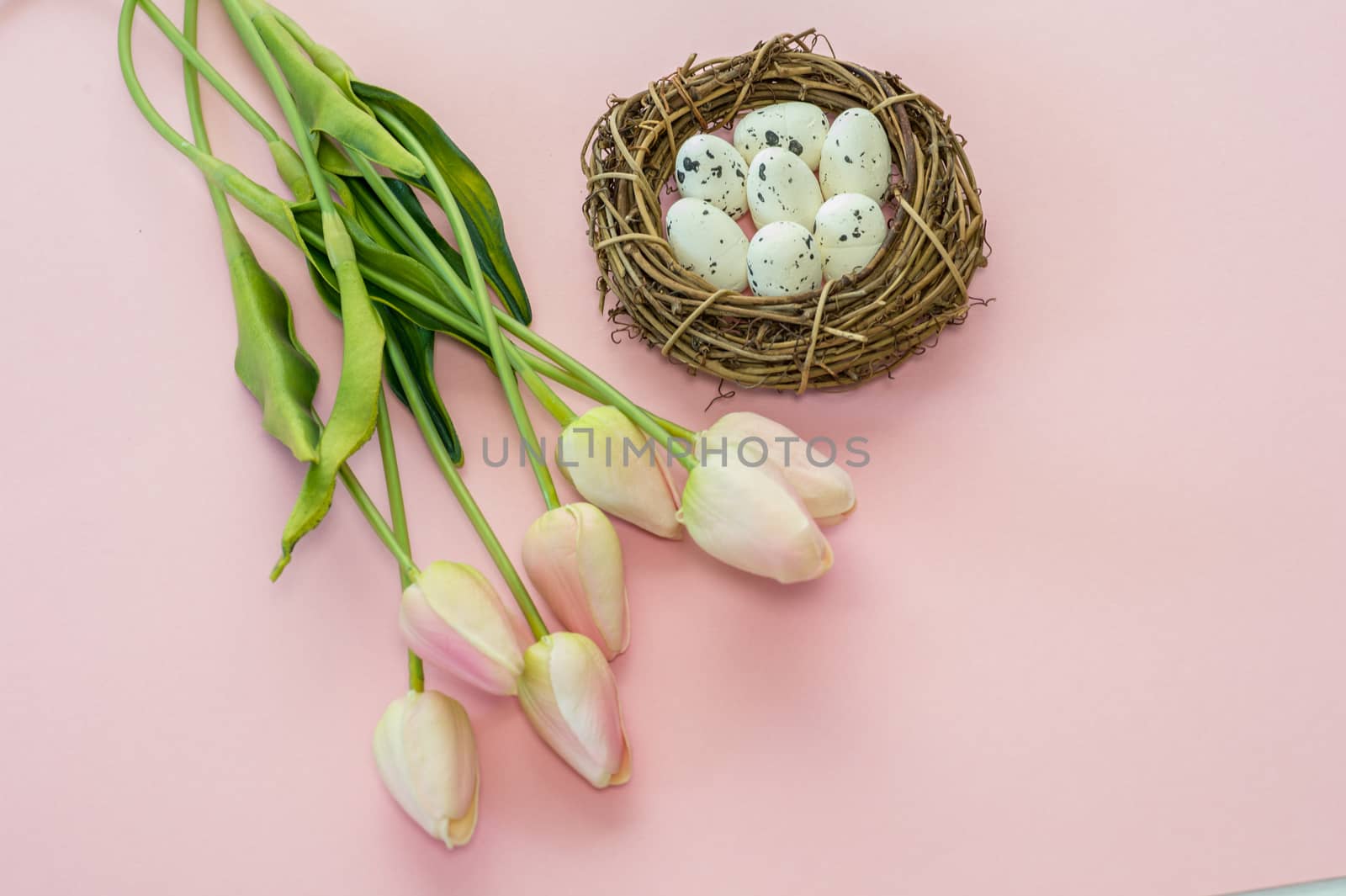 Easter eggs and tulips on wooden planks.