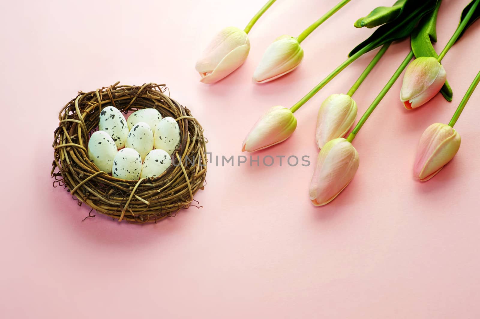 Easter eggs and tulips on wooden planks.