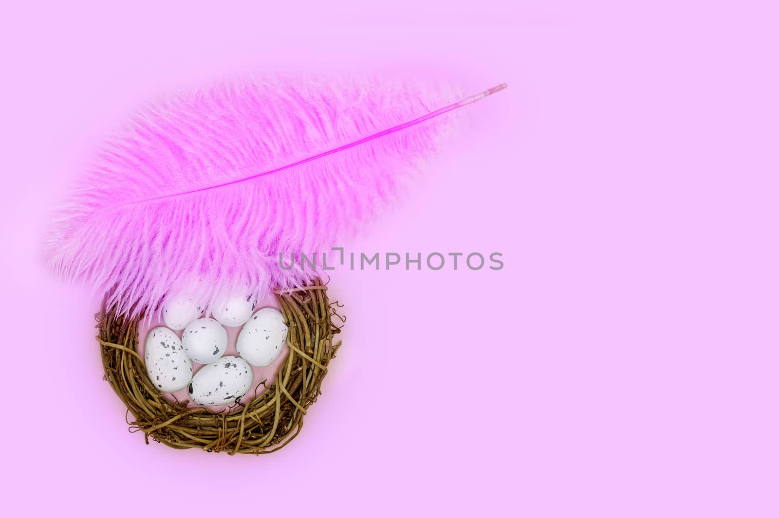 Pink feather shelters a nest with eggs on a pink background Easter concept