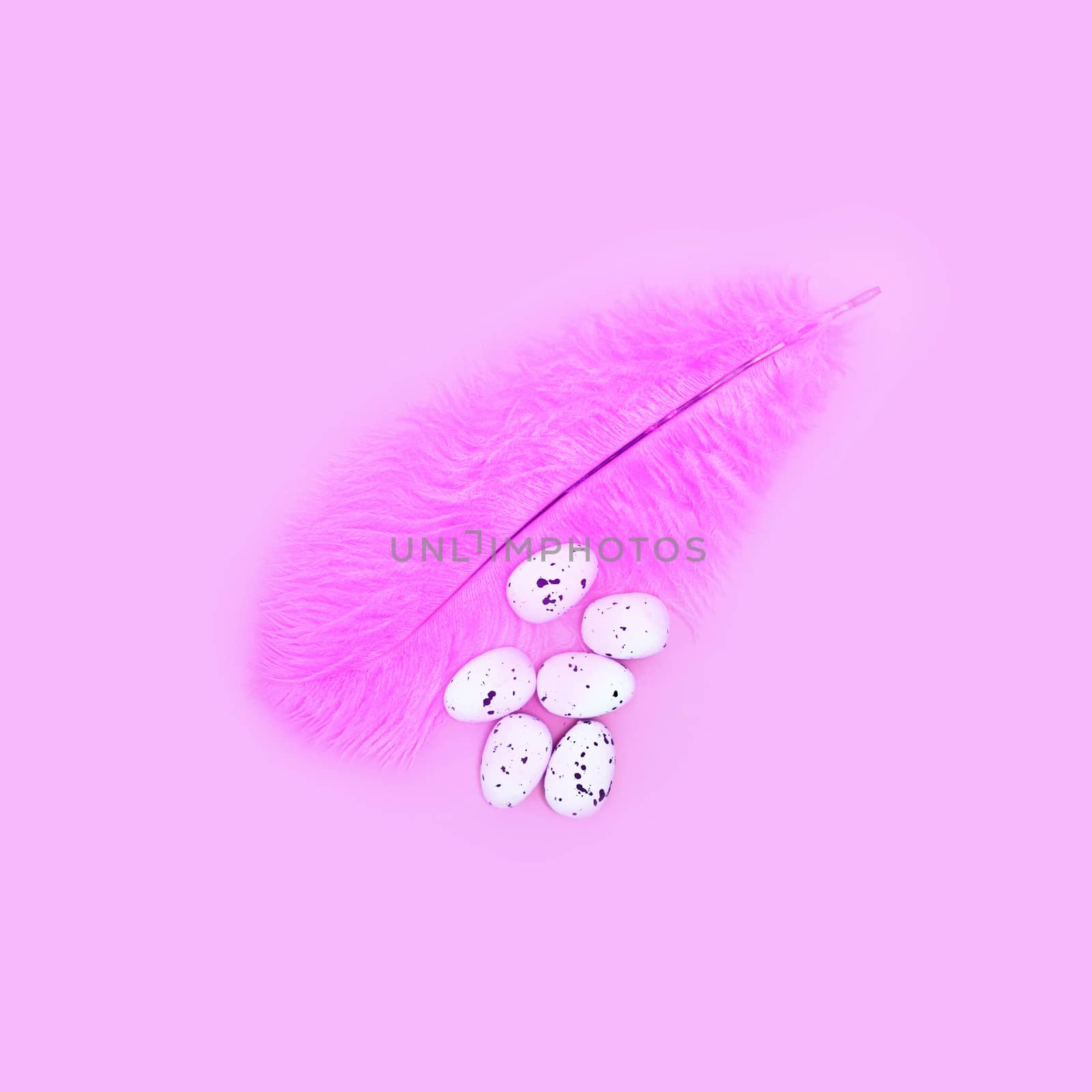 Eggs on a pink feather on a pink background. Easter concept