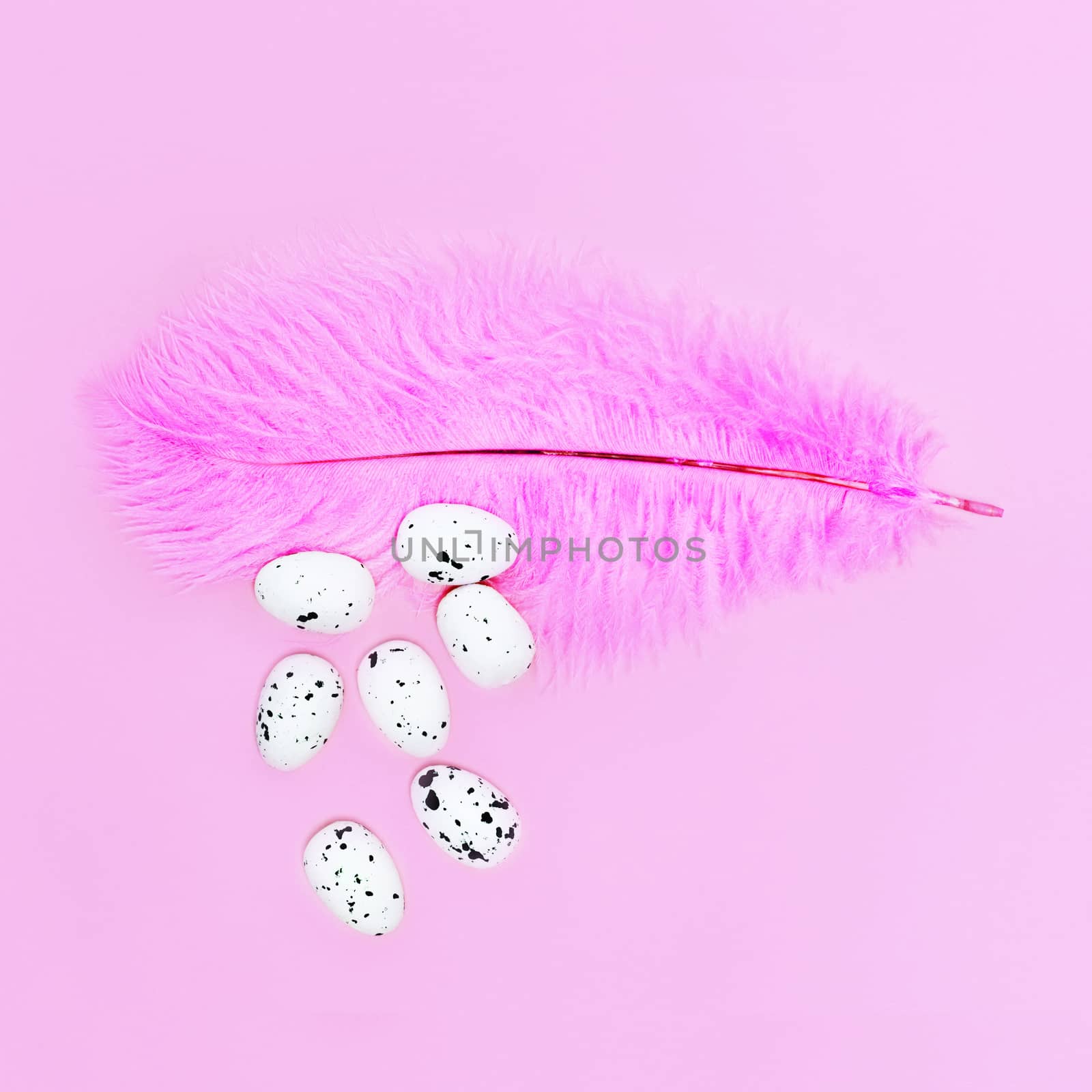 Eggs on a pink feather on a pink background. Easter concept