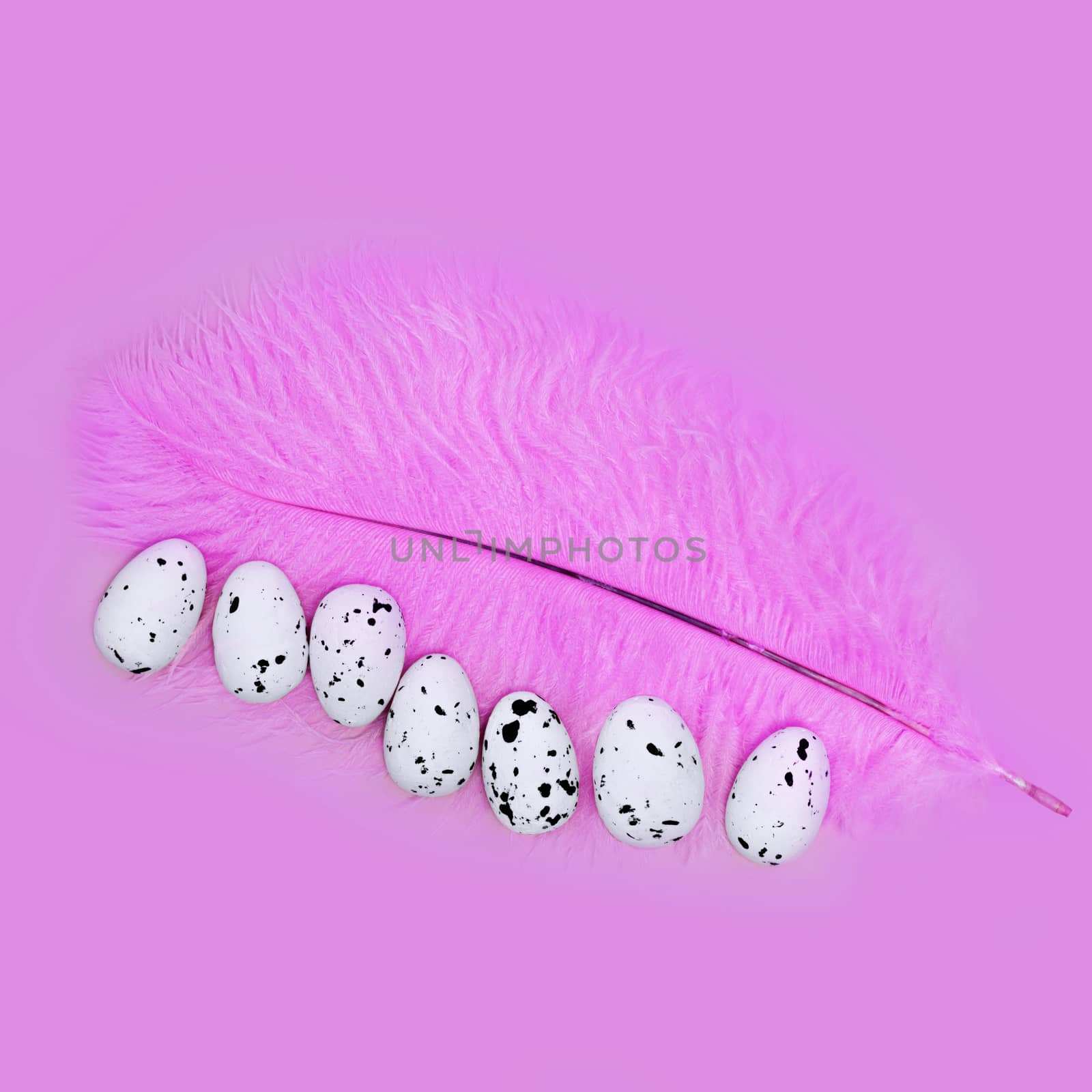 Eggs on a pink feather on a pink background. Easter concept