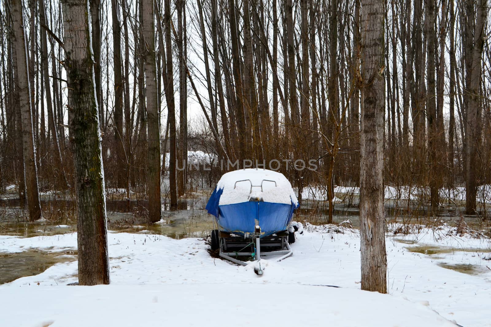 High water winter on the Borcea arm at the beginning of March.
Roads for cars and forests were flooded by water.