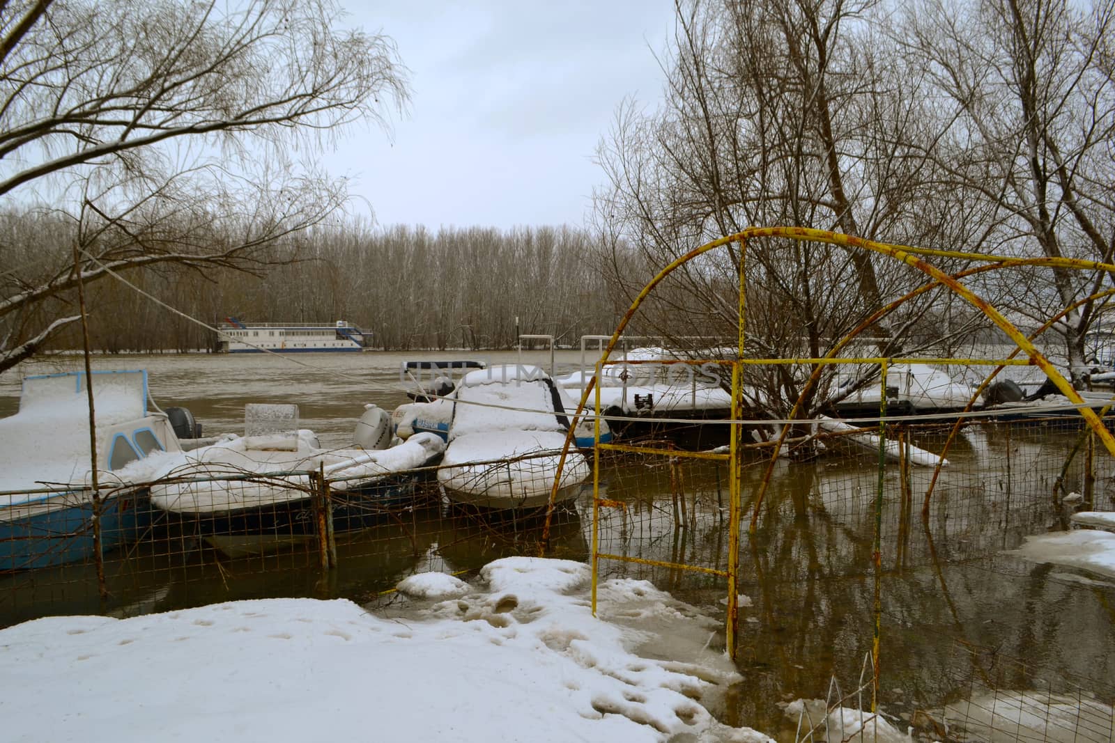 High water winter on the Borcea arm at the beginning of March.
Roads for cars and forests were flooded by water.