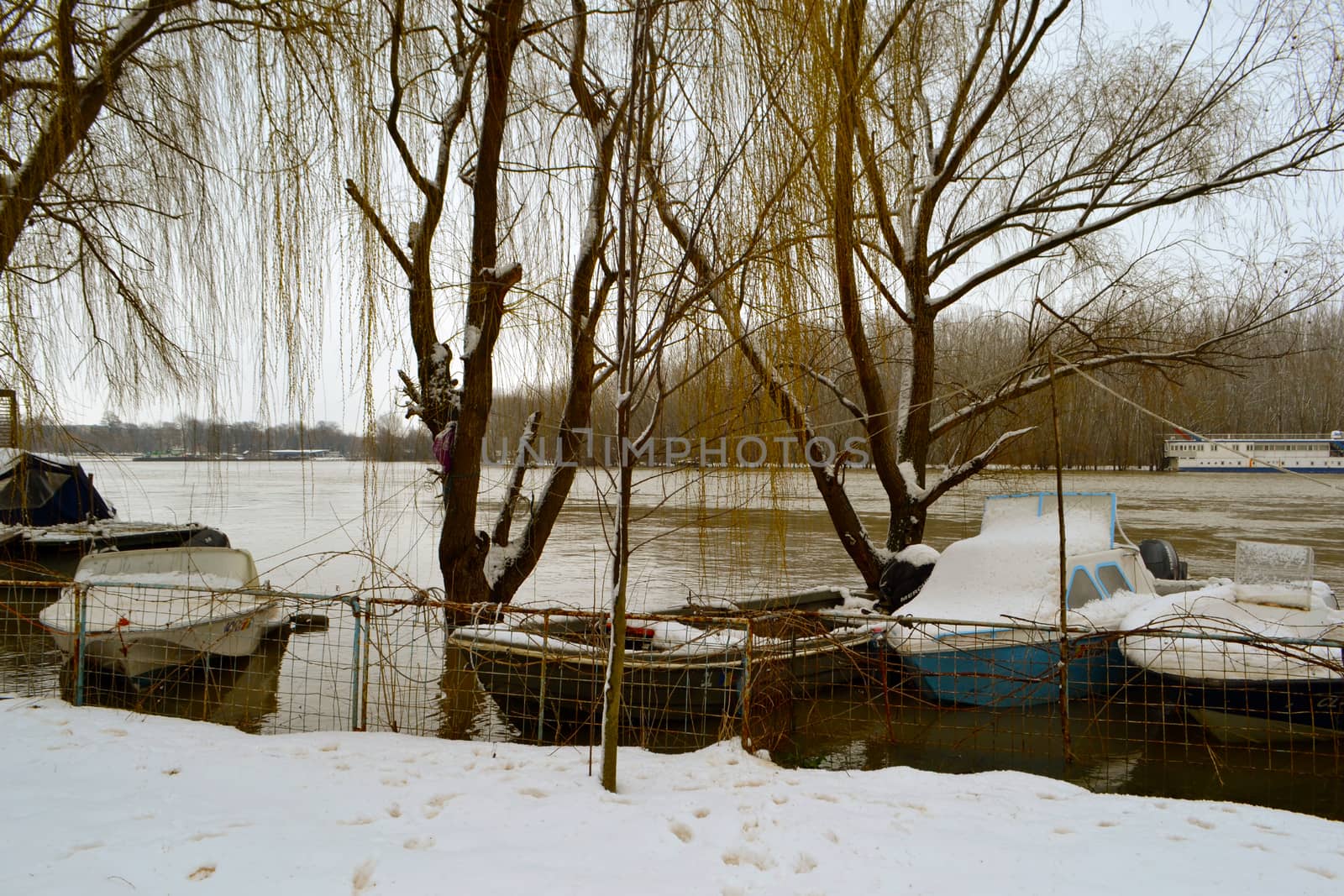 High water winter on the Borcea arm at the beginning of March.
Roads for cars and forests were flooded by water.