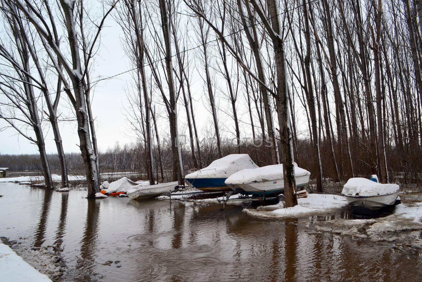 High water winter on the Borcea arm at the beginning of March.
Roads for cars and forests were flooded by water.