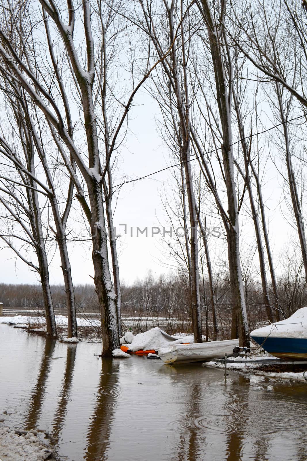 High water winter on the Borcea arm at the beginning of March.
Roads for cars and forests were flooded by water.