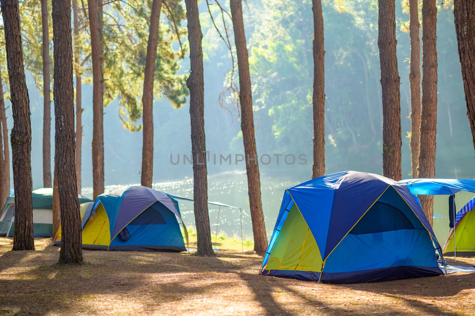 Dancing camping in Pang Ung forest, Mae Hong Son province, Thailand