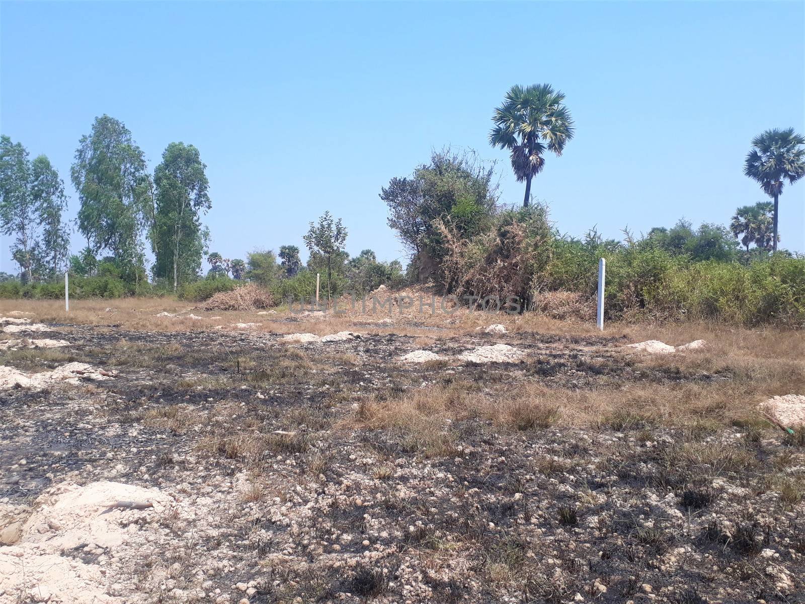 Cambodia rice paddy stubble burnt for next years crop. Dry season burning to clear land.