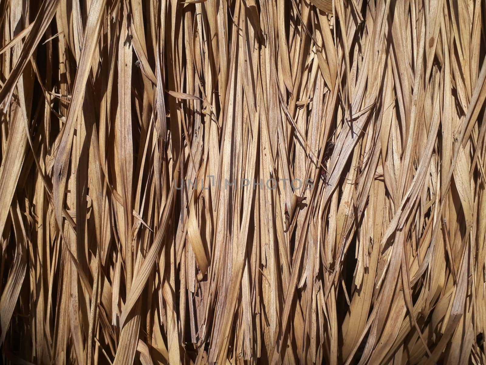 Natural texture background of straw thatch
