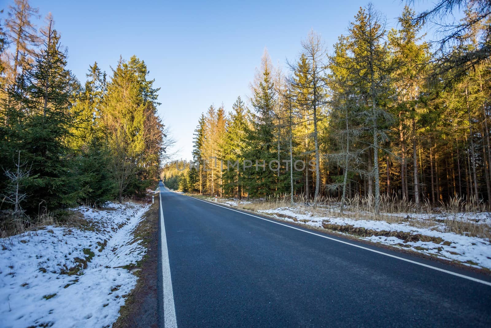 A wet roadway where a snow storm has left snow even on the bright colored leaves.