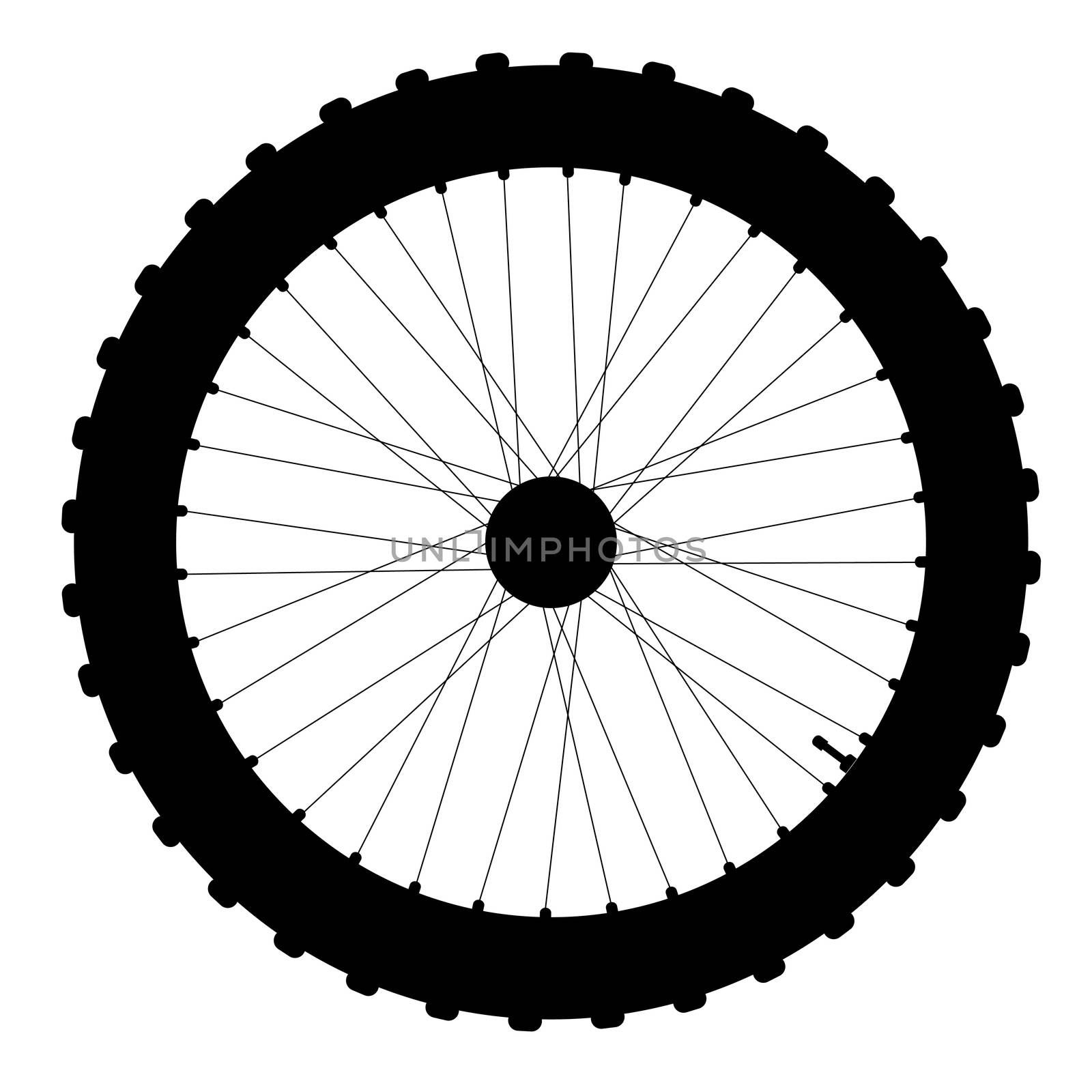 A knobly tyre on a bicycle wheel with valve and spoke nipples in silhouette